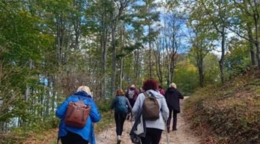 Nordijsko hodanje kao terapija