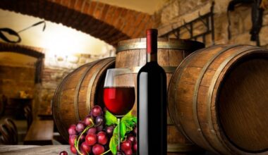 Markezi Antinori, nestalo je 30.000 boca vrhunskog vina