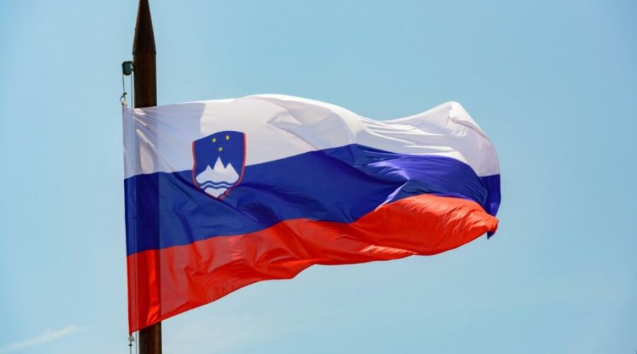 U Sloveniji se u nedelju održavaju četiri referenduma