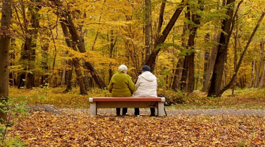 Evo šta Novi Sad uskoro sprema za starije sugrađane