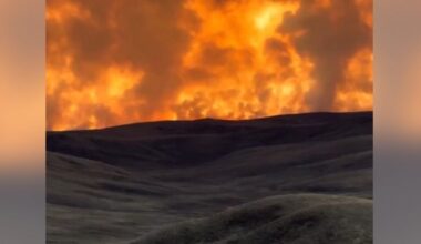 Ogroman požar u Mongoliji, gore stepe