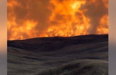 Ogroman požar u Mongoliji, gore stepe