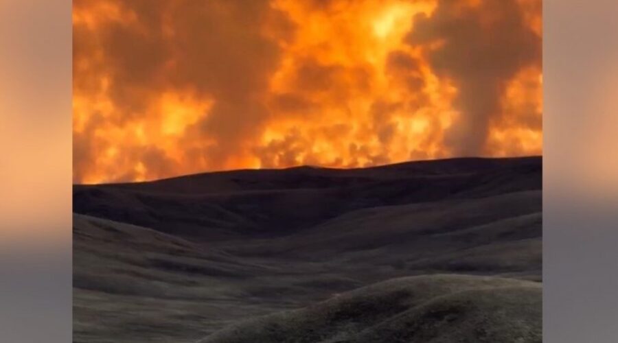 Ogroman požar u Mongoliji, gore stepe