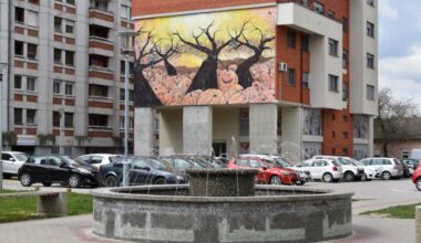 Podrška posle završetka osnovnog obrazovanja (Foto)