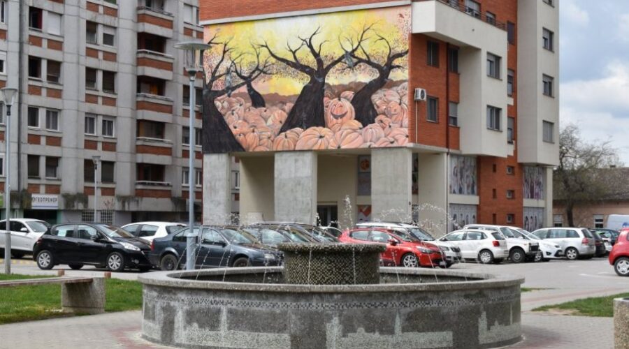 Podrška posle završetka osnovnog obrazovanja (Foto)