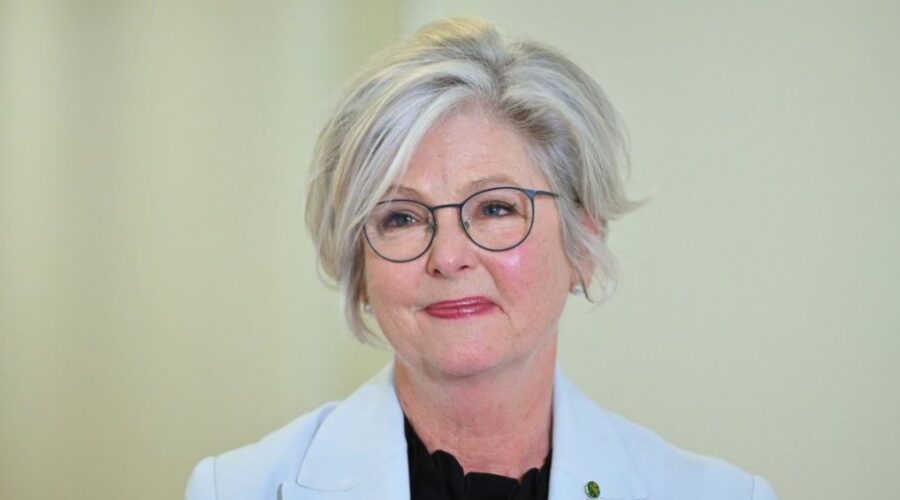 Helen Hejns namerno udarena vozilom, poslanica kritično