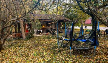 Dron usmrtio bebu u kolicima i devojčicu u parku