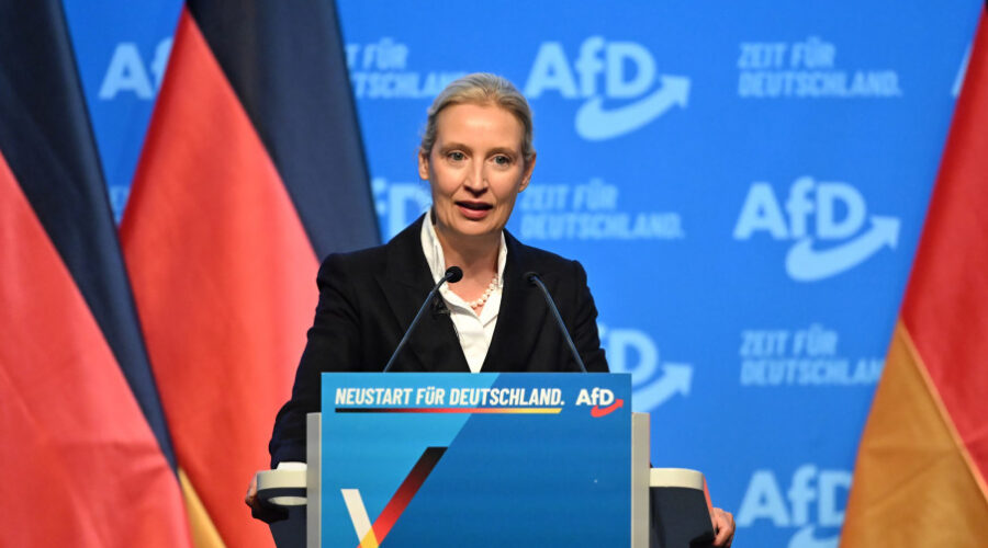 AfD će predložiti radikalne izmene institucija EU