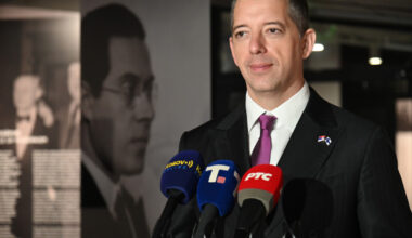 Đurić posle sednice SB UN: Nismo dozvolili da se srpski narod od žrtve pretvori u krivca
