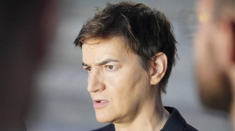 Brnabić: Srbija uspešno povezuje tržišta i poslovne zajednice uprkos podelama u svetu