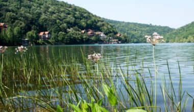 Poznato gde penzioneri najradije “troše” turističke vaučere