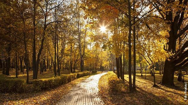 Sunčan dan, uveče stiže kiša – najviša temperatura i do 21 stepen