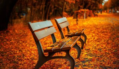 Pre podne oblačno, posle podne više sunca – temperatura do 18 stepeni