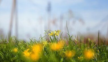 Posle oblaka, stiže sunce – Naslovi.net