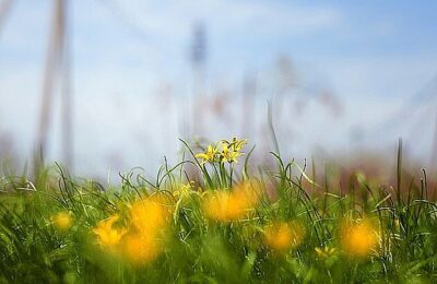 Posle oblaka, stiže sunce – Naslovi.net