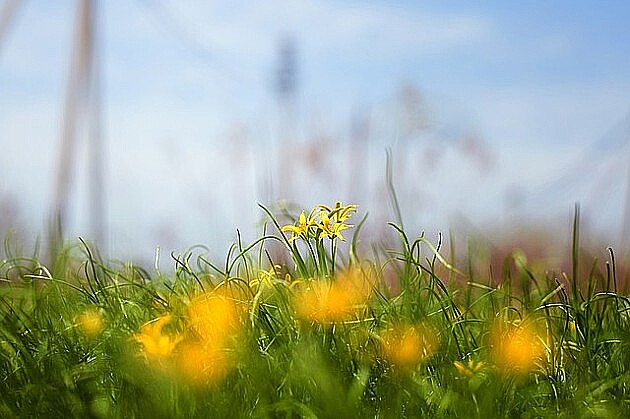 Posle oblaka, stiže sunce – Naslovi.net