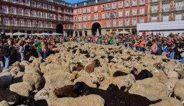 Hiljade ovaca i koza preplavilo ulice Madrida