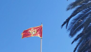 Predsednik države i predsednik skupštine Crne Gore čestitali izbornu pobedu Studentskoj listi