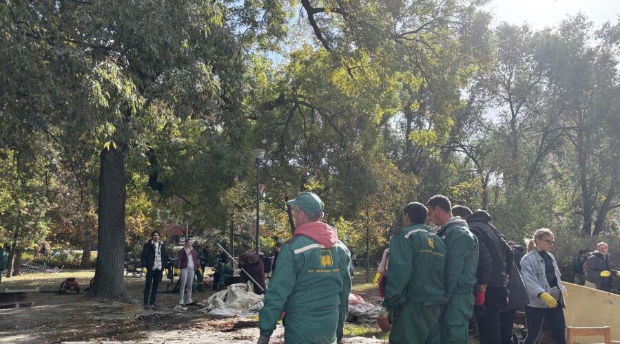Docentkinja Biološkog fakulteta: Tek će se proceniti kolika je šteta po Pionirski park