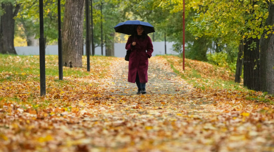 Zima sve bliže Srbiji: Temperature padaju, a evo kada se očekuju kiša i prvi snežni pokrivač