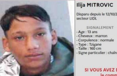 Policija pokrenula potragu za Ilijom Mitrovićem (13)