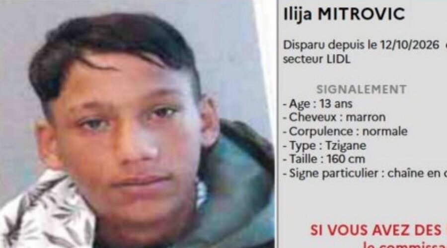 Policija pokrenula potragu za Ilijom Mitrovićem (13)