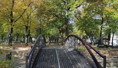 Kiša i sneg: U Nišu hladno, temperatura do 11 stepeni, zahlađenje potrajaće danima