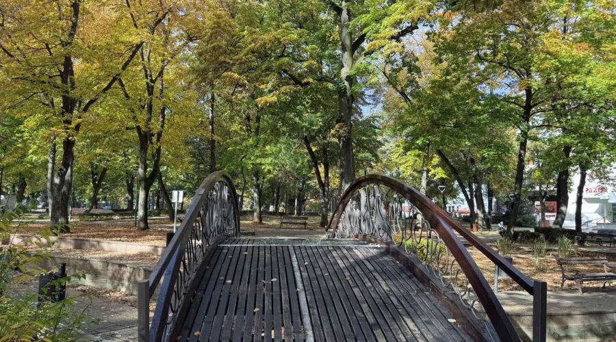 Kiša i sneg: U Nišu hladno, temperatura do 11 stepeni, zahlađenje potrajaće danima