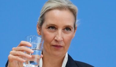 AFD sprema veliki preokret u EU: Evo šta predlažu za evropske institucije