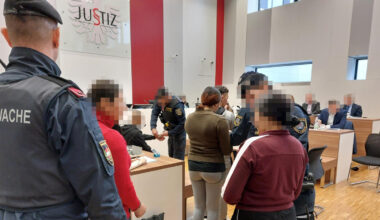 Austrija: Majka osuđena na 18 meseci zatvora zbog ubistva novorođenčeta | Srpska dijaspora