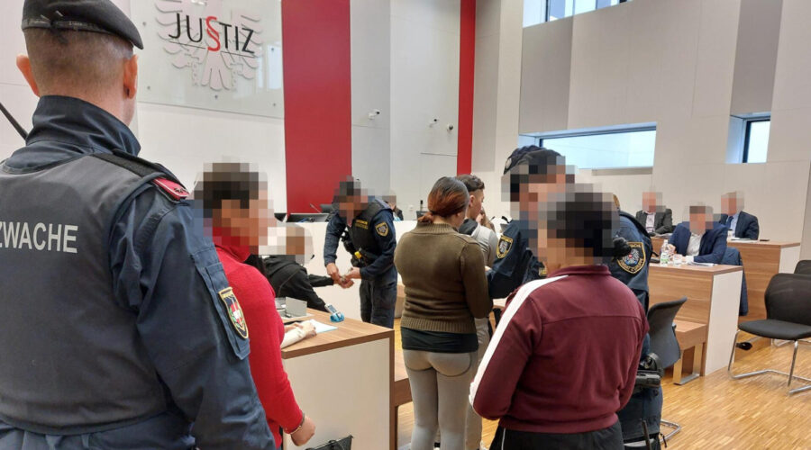 Austrija: Majka osuđena na 18 meseci zatvora zbog ubistva novorođenčeta | Srpska dijaspora