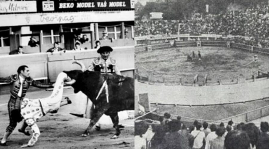 BIKOVI USRED BEOGRADA: Na današnji dan 1971. Tašmajdan postao arena za borbu s bikovima – jedan od njih završio kao večera u Skadarliji!