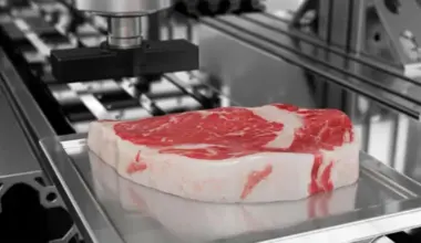BISTE LI GA PROBALI? Biftek štampan u 3D tehnologiji stigao u američke prodavnice!