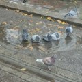 Danas toplo u Srbiji, temperatura do 25 stepeni: Popodne mogući kiša i pljuskovi