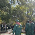 Docentkinja Biološkog fakulteta: Tek će se proceniti kolika je šteta po Pionirski park