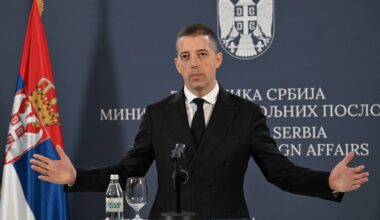 Đurić: Tvrdnje da MSP opstruiše glasanje u inostranstvu su potpuno lažne | Srpska dijaspora