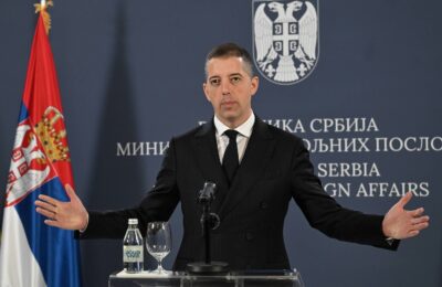 Đurić: Tvrdnje da MSP opstruiše glasanje u inostranstvu su potpuno lažne | Srpska dijaspora