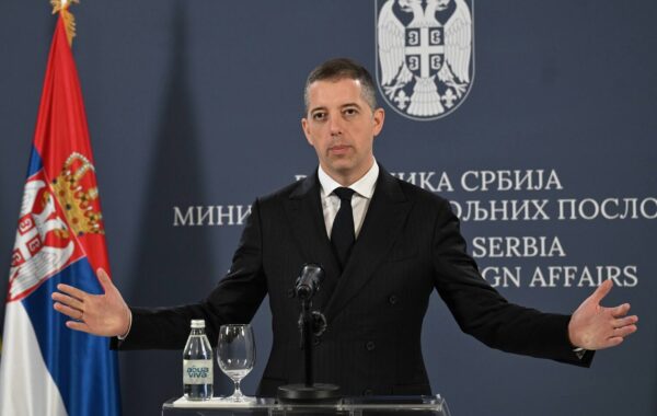 Đurić: Tvrdnje da MSP opstruiše glasanje u inostranstvu su potpuno lažne | Srpska dijaspora