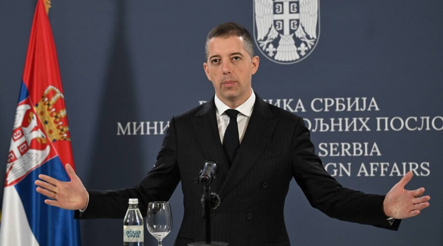 Đurić: Tvrdnje da MSP opstruiše glasanje u inostranstvu su potpuno lažne | Srpska dijaspora