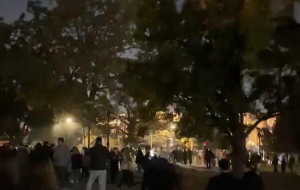 Građani ruše „Ćacilend“ (VIDEO) | Srpska dijaspora