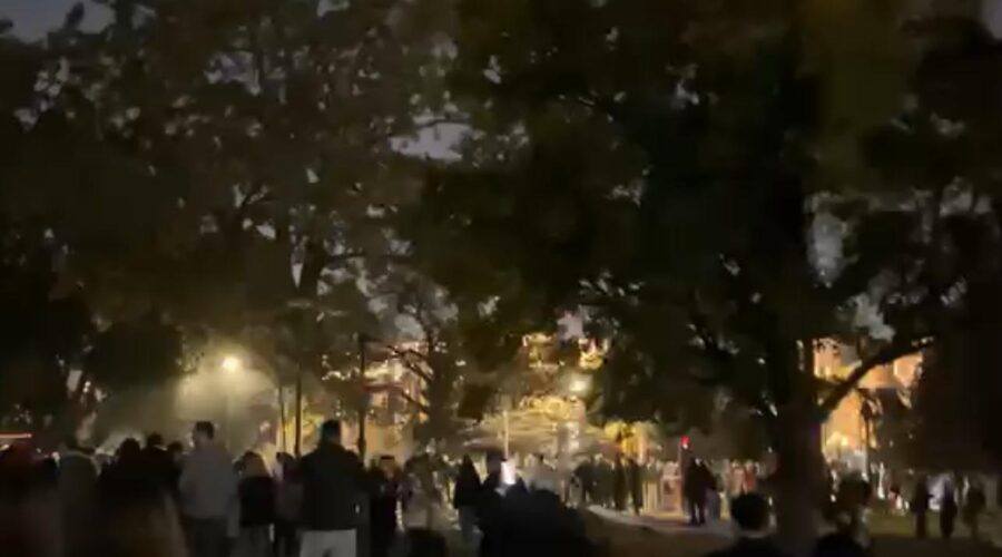Građani ruše „Ćacilend“ (VIDEO) | Srpska dijaspora