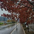 Hladan i kišovit kraj oktobra, na planine stiže i sneg: Temperatura do 12 stepeni