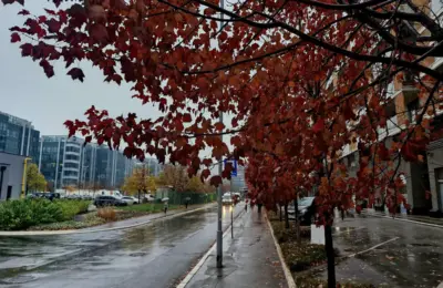 Hladan i kišovit kraj oktobra, na planine stiže i sneg: Temperatura do 12 stepeni