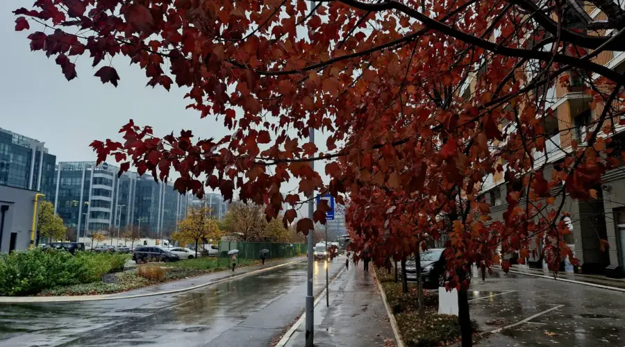 Hladan i kišovit kraj oktobra, na planine stiže i sneg: Temperatura do 12 stepeni