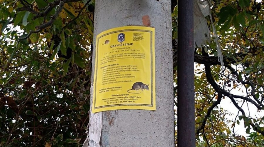 JESENjA DERATIZACIJA: Besplatni tretmani od 12. do 24. oktobra