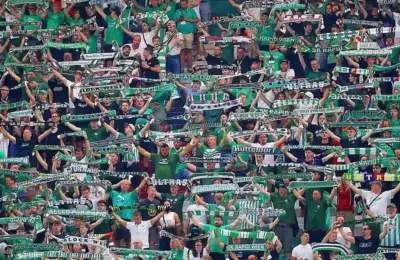 Katastrofalne odluke uprave skupo koštale austrijski klub Rapid | Srpska dijaspora
