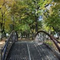 Kiša i sneg: U Nišu hladno, temperatura do 11 stepeni, zahlađenje potrajaće danima