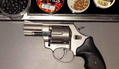Kod Poljaka na izlazu iz Srbije pronađen revolver sa stotinak komada municije