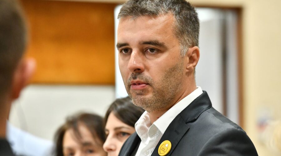 Manojlović: Kričak se ponaša kao partijska SS divizija SNS-a | Srpska dijaspora