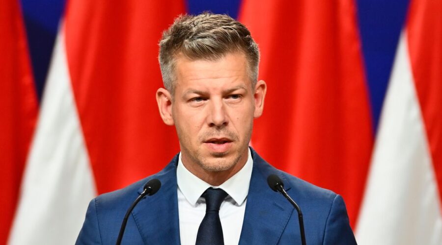 Peter Mađar: Razgovarao sam sa liderima Studentske liste, uverio sam ih u podršku Mađarske